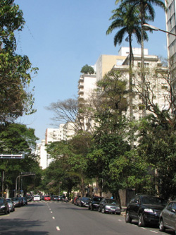 Avenida Higienópolis
